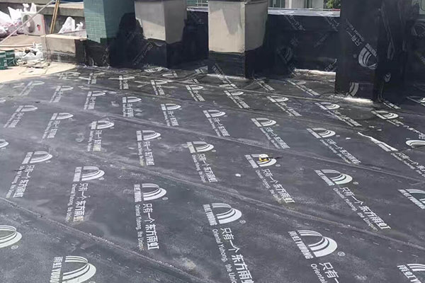 北京廊坊大廠專業防水公司