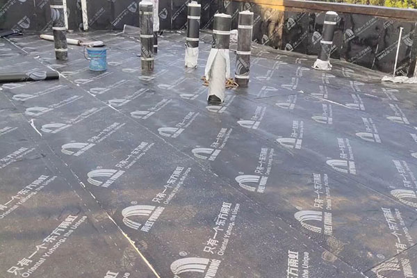 北京廊坊區固安建筑防水補漏